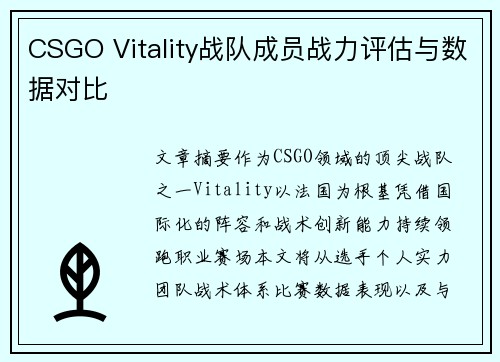 CSGO Vitality战队成员战力评估与数据对比